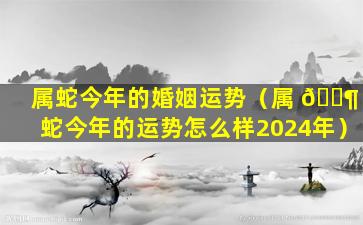 属蛇今年的婚姻运势（属 🐶 蛇今年的运势怎么样2024年）